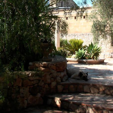 Casa Veneri Bed & Breakfast Salve Ngoại thất bức ảnh