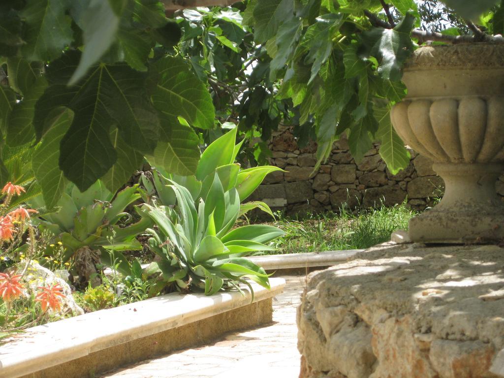 Casa Veneri Bed & Breakfast Salve Ngoại thất bức ảnh